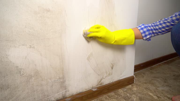 Best Residential Mold Inspection & Testing  in USA